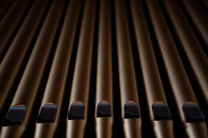 organ pipes